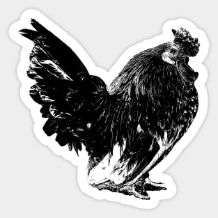 chicken, animal, poultry, farm, agriculture, feathers, plumage, livestock, farm animal, nature Sticker